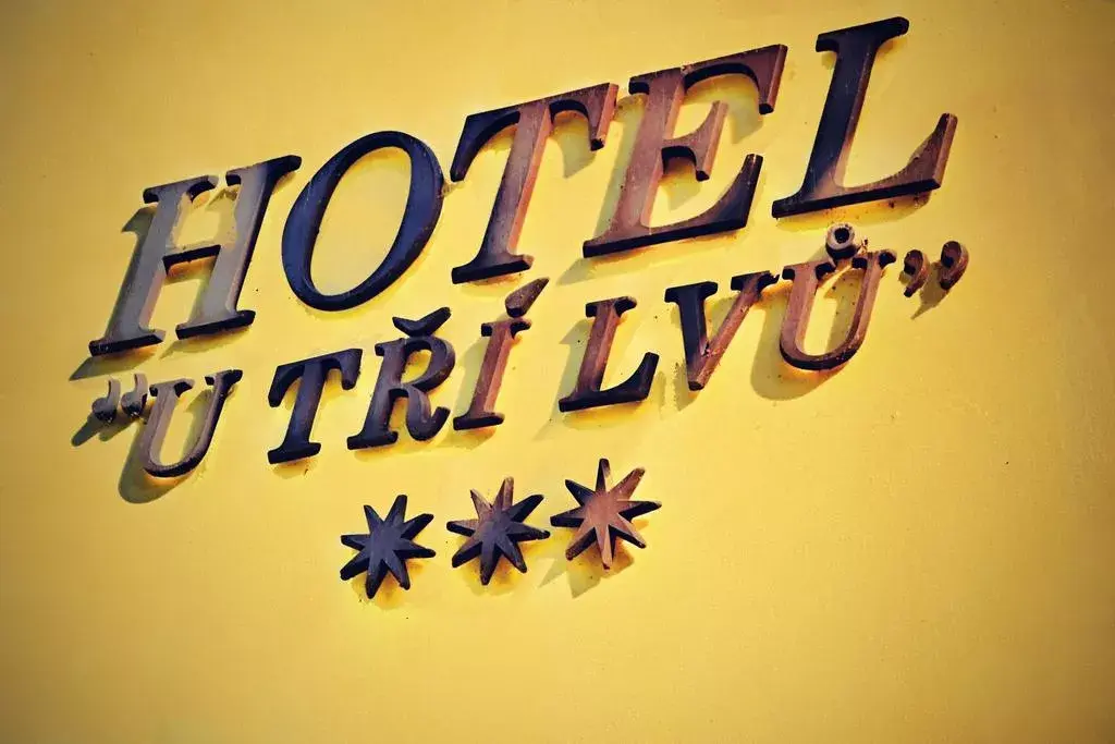 Hotel U TŘÍ LVŮ, Budweis České Budějovice 6